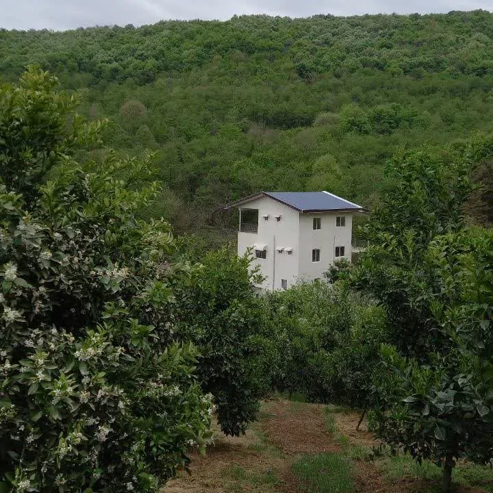 تصویر ۱ - خانه مبله حاج بابا (۲) در  شهسوار