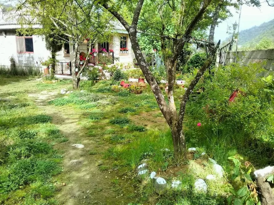 تصویر ۱ - خانه باغ زیبا در  اسالم