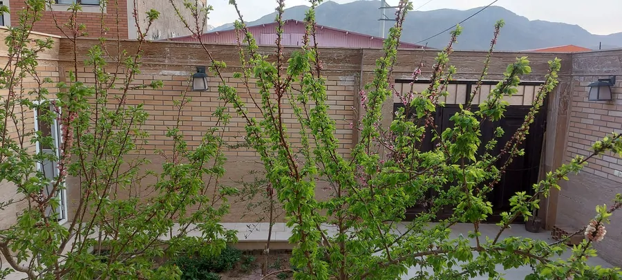 تصویر ۱ - سوییت سوئیت مهمان اردهال در  مشهد اردهال