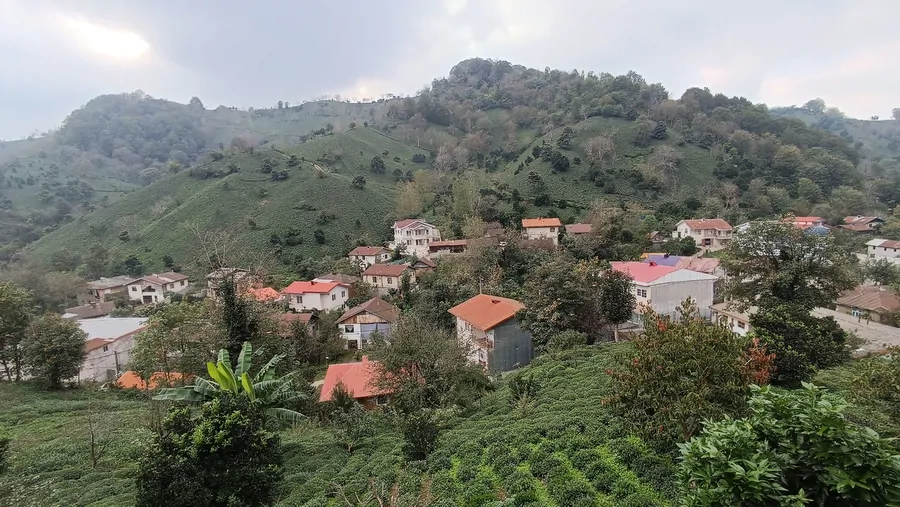 تصویر ۱ - ویلا اقامتگاه با چشم انداز باغات چای در  لاهیجان