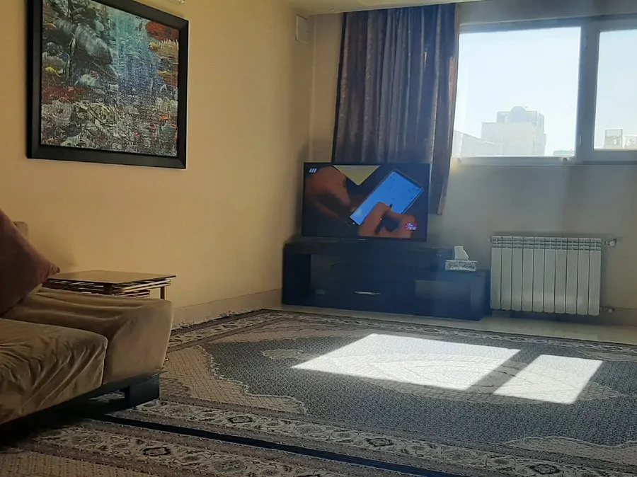 تصویر ۱ - آپارتمان مبله پاک روان (طبقه سوم) در  شیراز
