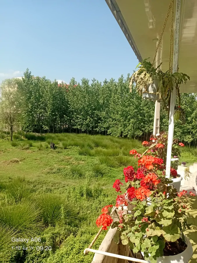 تصویر ۱ - ویلا اقامتگاه ویلایی با بهترین میزبانی ویوی عالی دارد  در  فومن