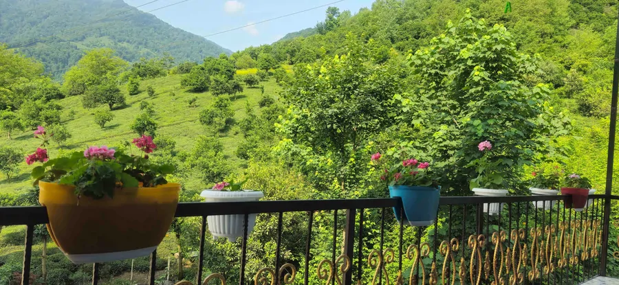 تصویر ۱ - آپارتمان مبله افرا در املش