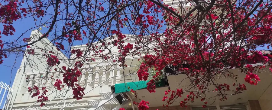 تصویر ۱ - ویلا صفا در گنبد کاووس