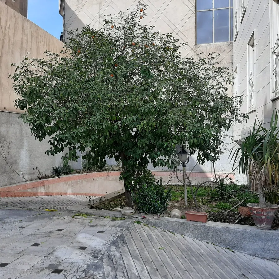 تصویر ۱ - آپارتمان مهر۲ در تهران