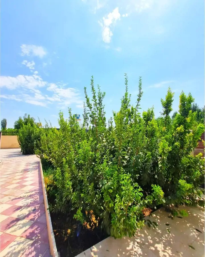 تصویر ۱ - ویلا باغ ویلای دوستی  در  چهارباغ