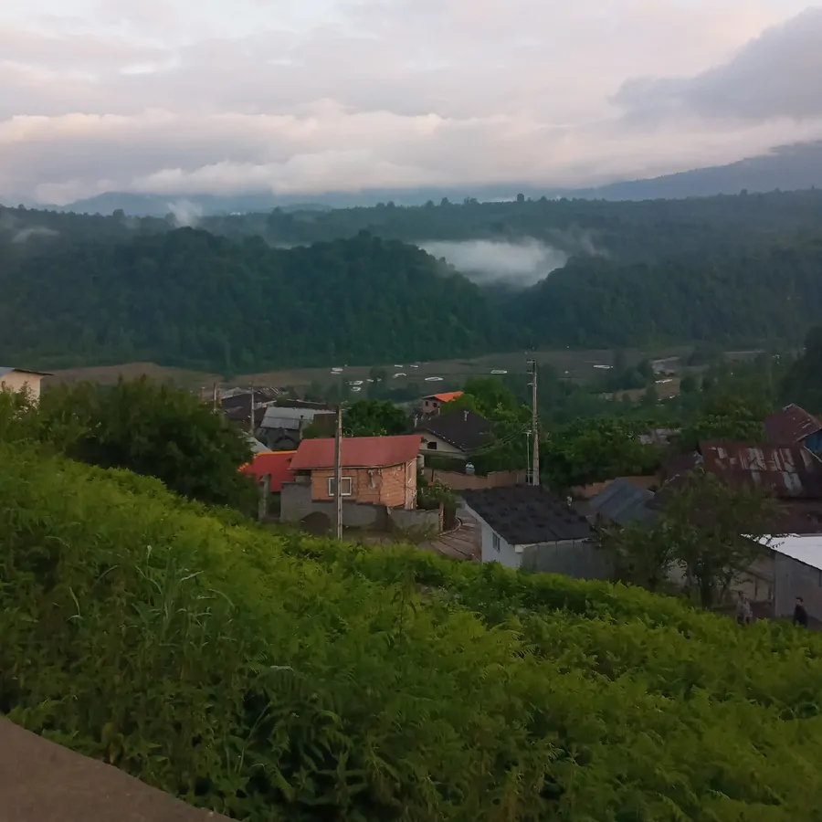 تصویر ۱ - ویلا عالمکلا در  شیرگاه