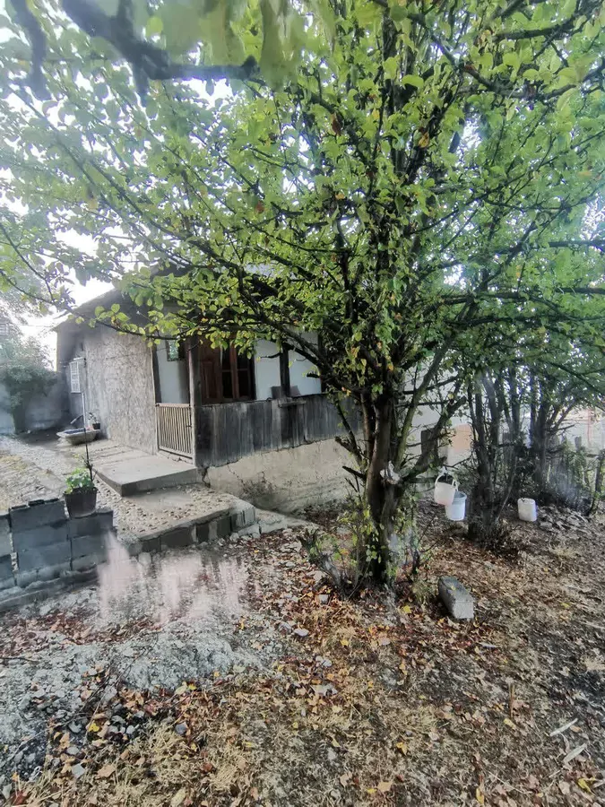 تصویر ۱ - کلبه خانه چوبی سنتی ماه گُل در  آمل