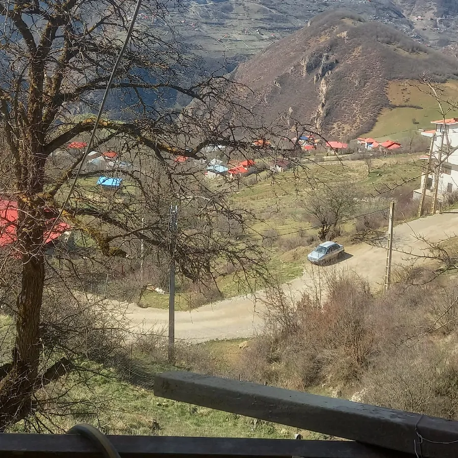 تصویر ۱ - کلبه دالخانی جنگلی در  رامسر