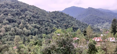 سنتی کوهپایه 