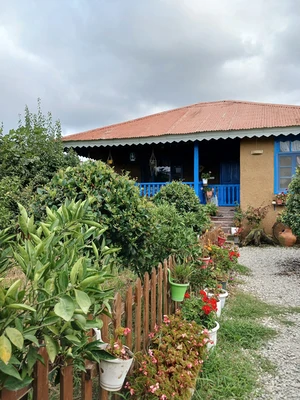 روستایی وارش