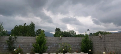 سوئیسی صادق