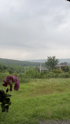 جنگلی روستایی سنّتی پدر