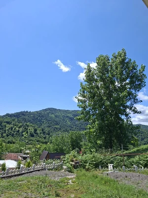 سوئیسی آیدن