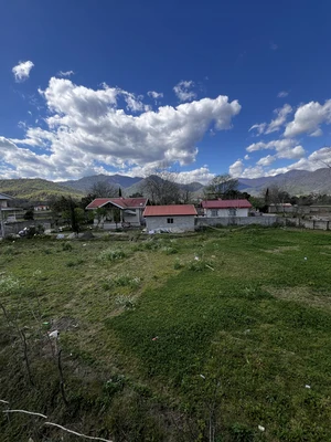 سوئیسی لواشکی