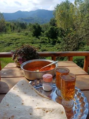 سوییسی بلوط (۲)