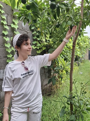 دلتا در کیاشهر