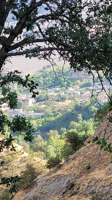 هانه‌ کوان