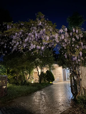 روان بخت