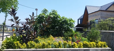 سوئیسی تی ته (1) با جکوزی
