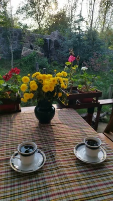 ویلایی افرا با پینگ پونگ