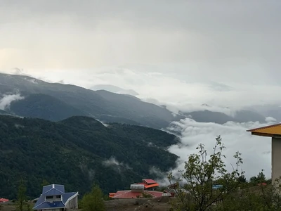 علیپور