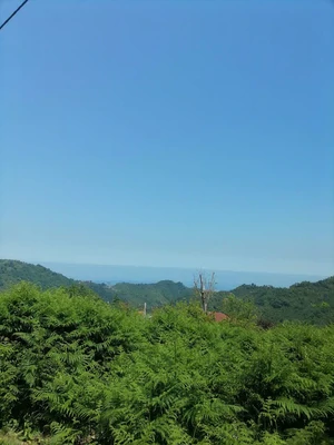  سنتی پدر جان