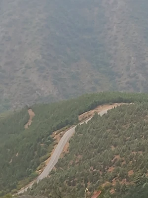 نرسو
