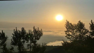 چوبی ابرها