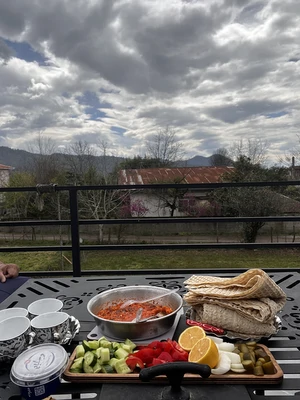 سوئیسی لواشکی