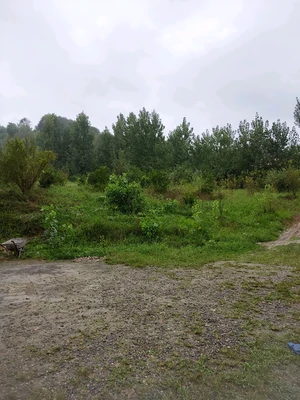 سوئیسی آیدا با جکوزی 