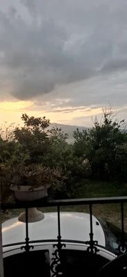جنگلی سوجان