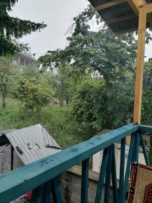 سنتی پدر جان