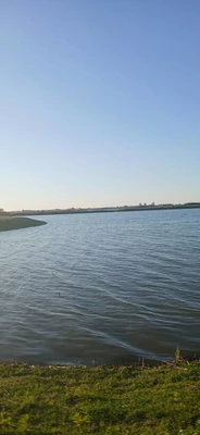 دشت