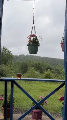 جنگلی روستایی سنّتی پدر