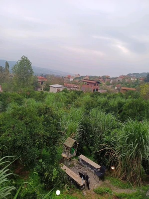 سوئیسی سروستان با جکوزی 