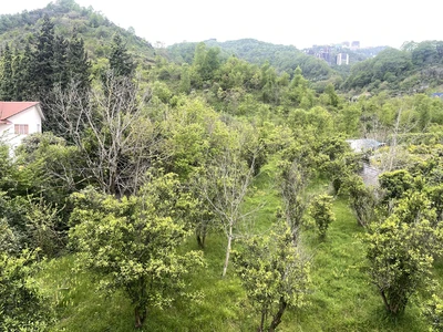 قصر چوبی با جکوزی