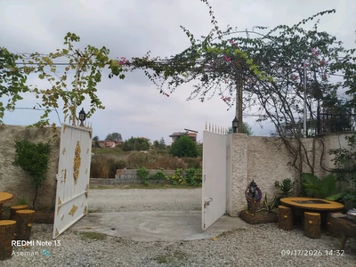 شالی