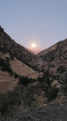 هانه‌ کوان