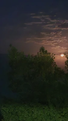 چوبی ابرها