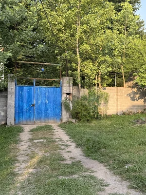 روستایی بلوط 