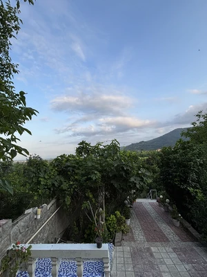 نیلاش 