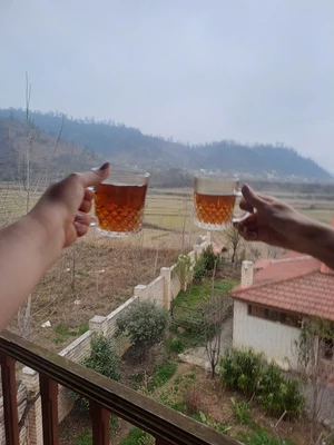  چوبی الماس