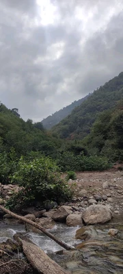 سوئیسی آیدن