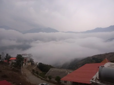 نرسو