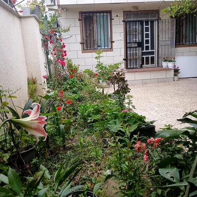 بوستان با ویو رو به کوه وجنگل