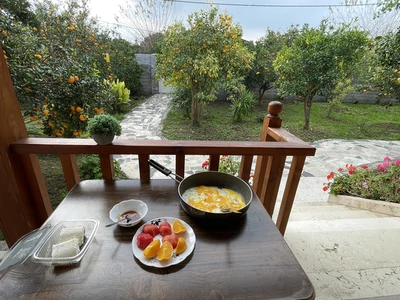 مسافر باغ پرتقال