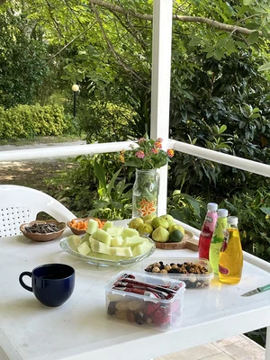  باغ گل های کاغذی