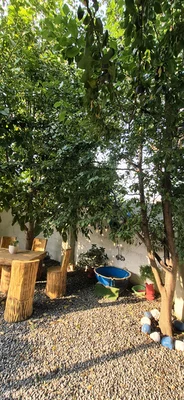 جنگلی مقتدایی