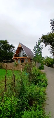 چوبی الین